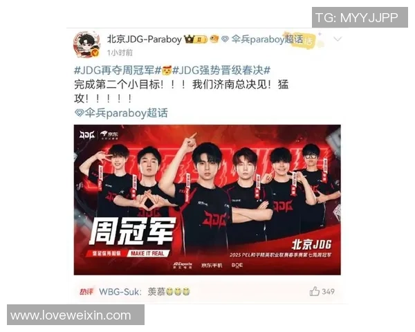 和平精英战术分析:深入探讨JDG在区域防守中的策略与执行