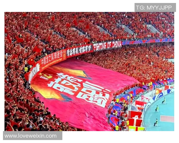 杭州排球队灵活性引发热议球迷与专家各执己见的背后故事