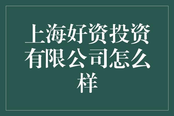 上海好资投资有限公司怎么样