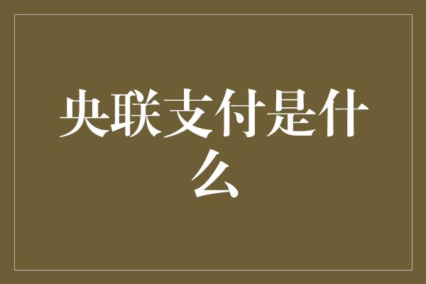 央联支付是什么