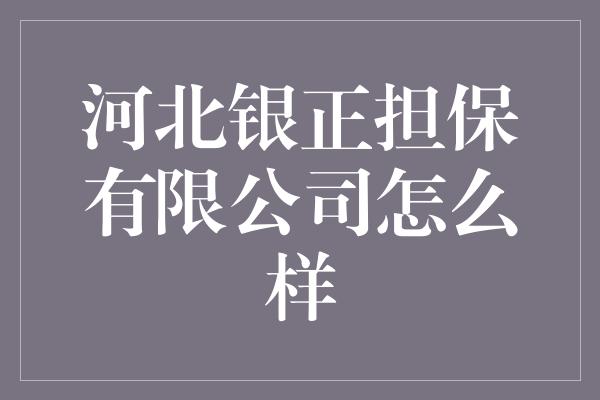 河北银正担保有限公司怎么样