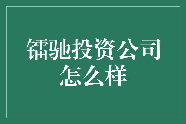 镭驰投资公司怎么样