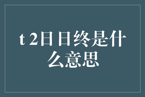 t 2日日终是什么意思